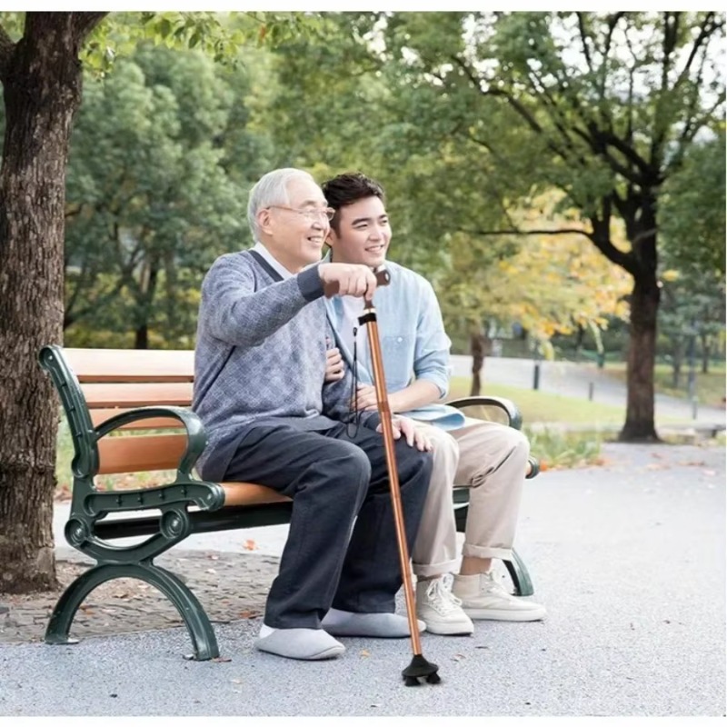 높이 조절이 가능한 접이식 보행 지팡이, 남성용 스포츠 - Folding Walking Sticks Hiking Adjustable 리뷰 및 가격